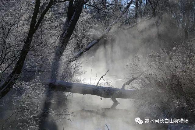 深蓝G318更多信息曝光，搭载超级增程技术