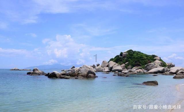 生化危机：浣熊市行动